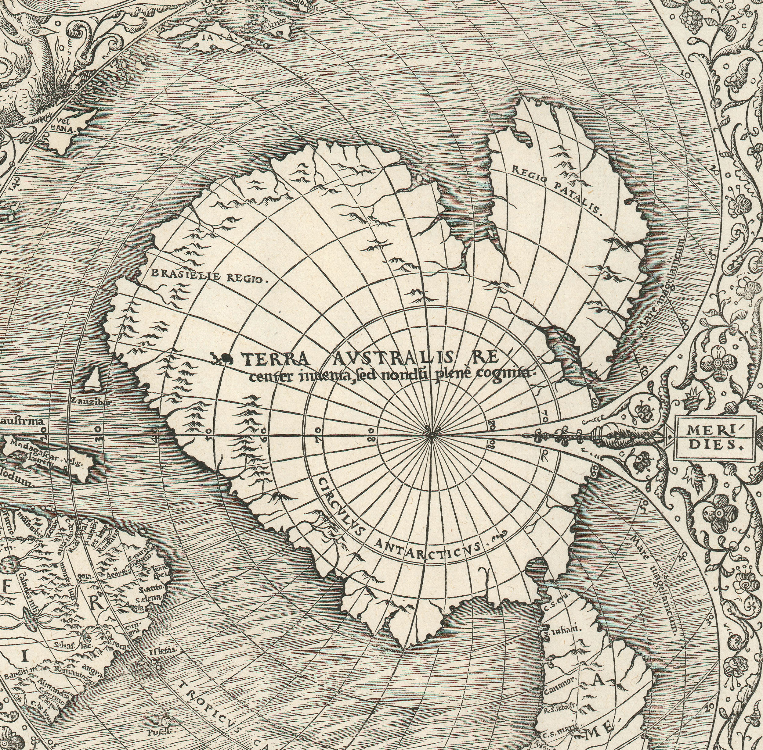  CartoCuriosity - Terre Australis, the Great Southern Continent