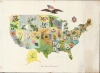 1911 State Map Flower Company Lithograph of U.S. State Flowers