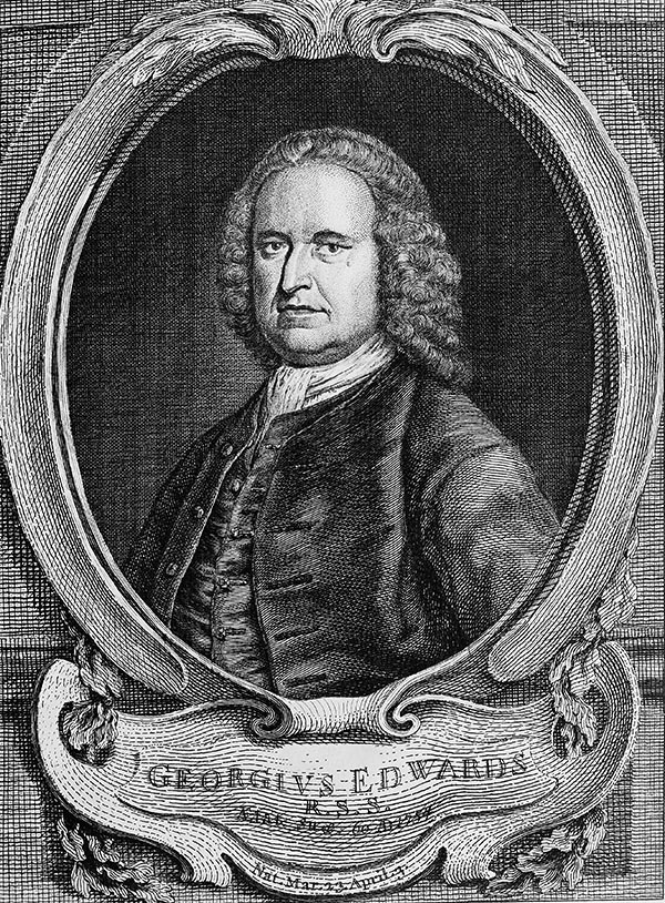 Edwards, George