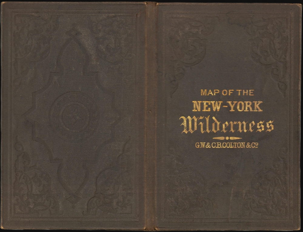 Map of the New York Wilderness. - Alternate View 2