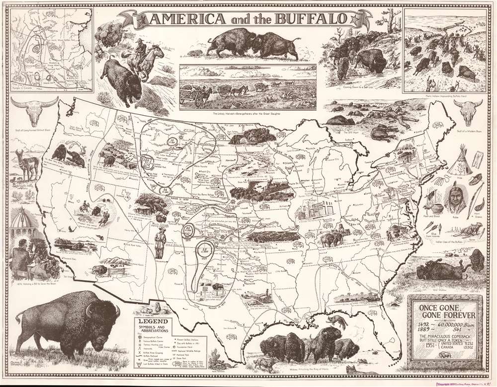 America and the Buffalo: Once Gone, Gone Forever. - Main View