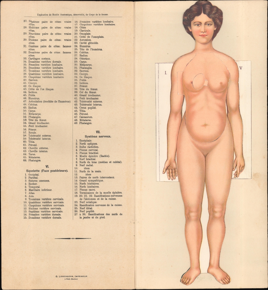 Le corps humain. Anatomie de la Femme. - Alternate View 5