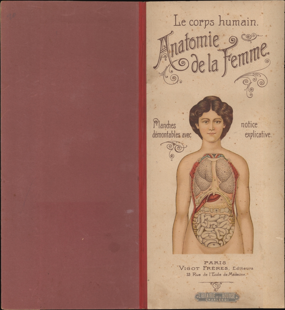 Le corps humain. Anatomie de la Femme. - Main View