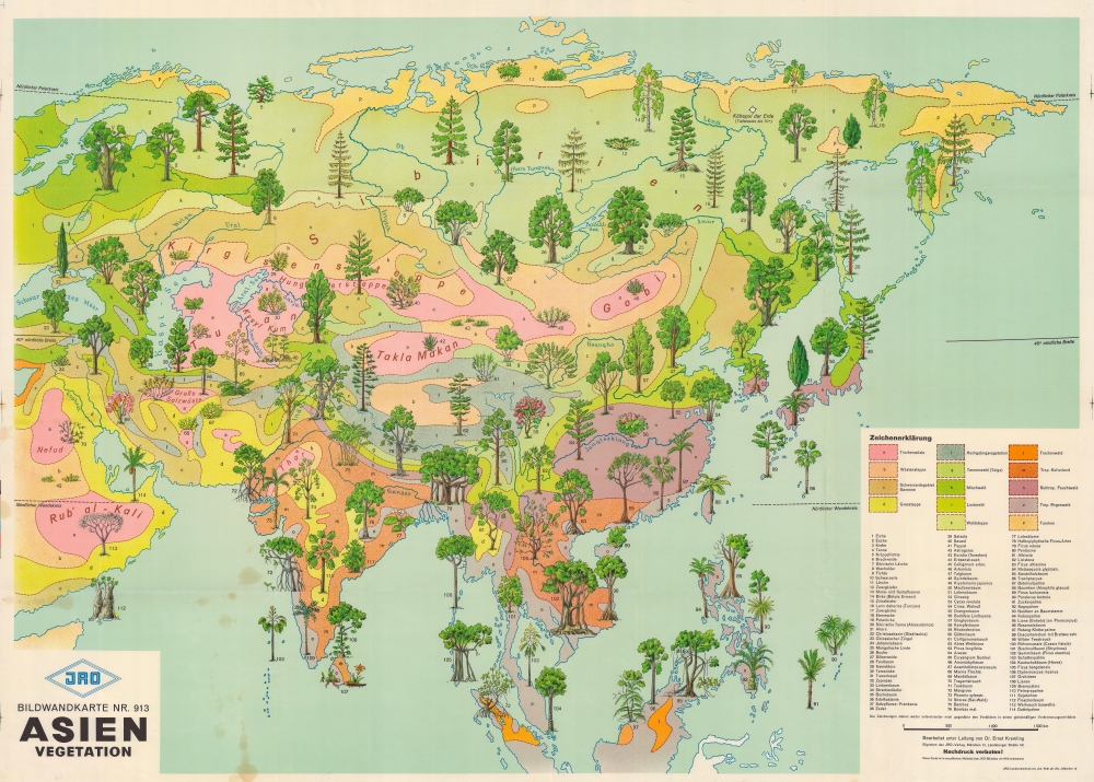 Asien Vegetation. Bildwandkarte Nr. 913. - Main View