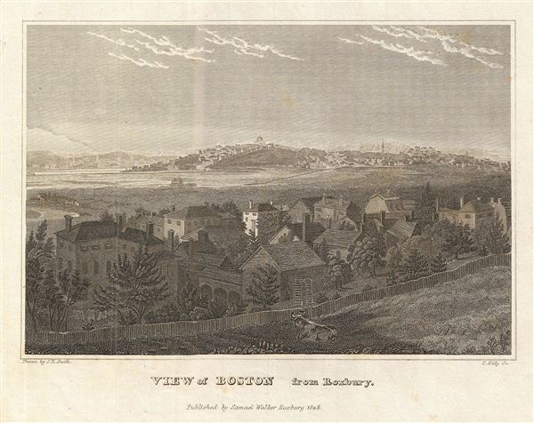 View of Boston from Roxbury. - Main View