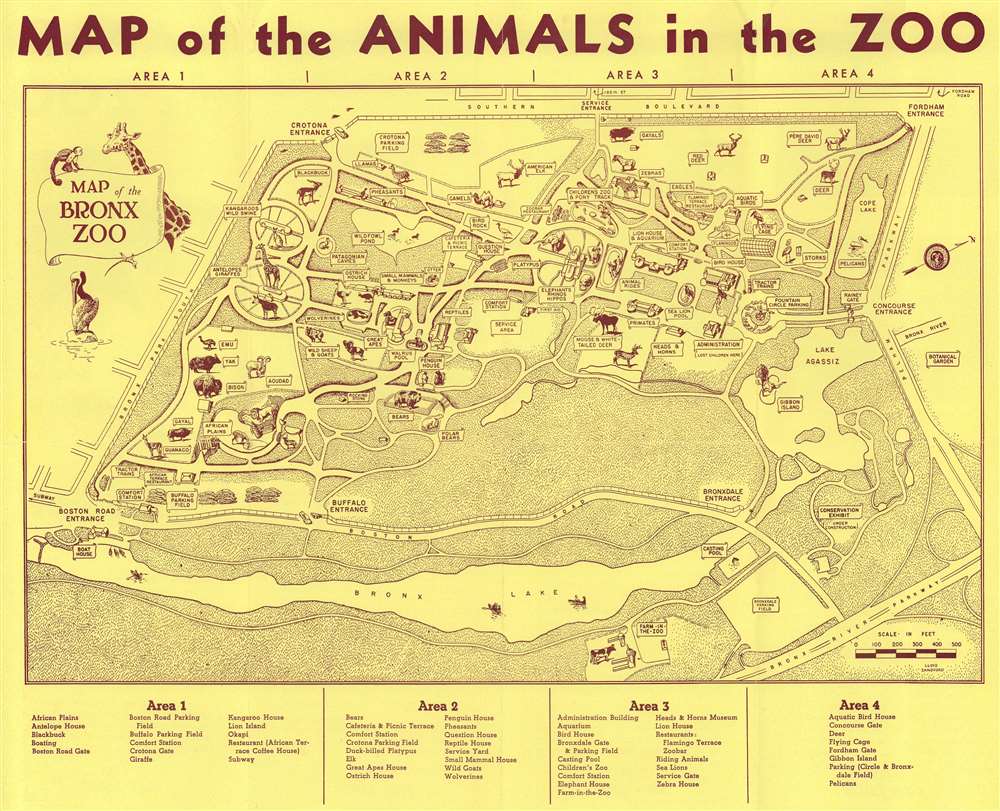 Map of the Animals in the Zoo. - Main View