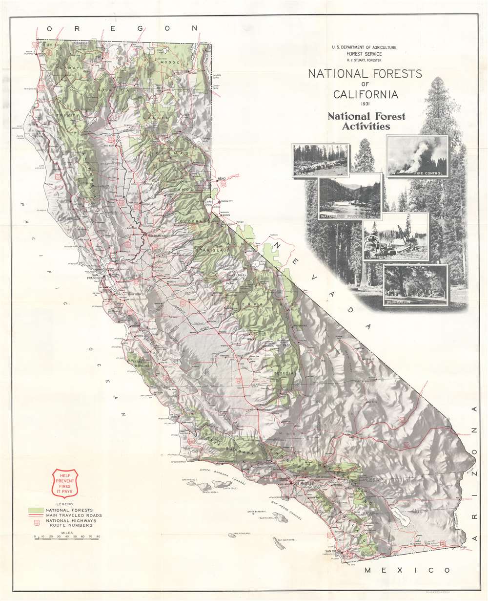 National Forests of California. - Main View