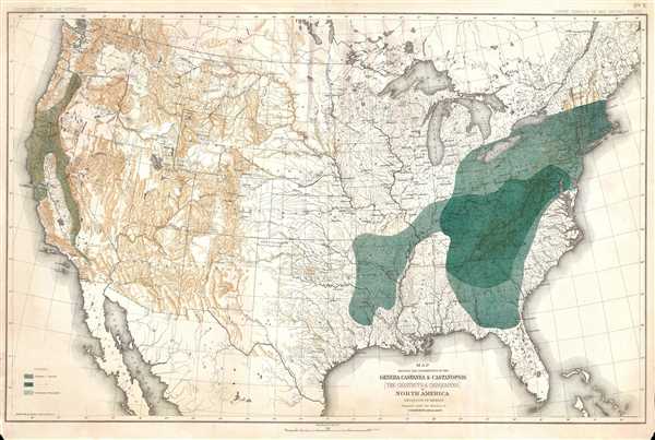 Map Showing the Distribution of the Genera Castanea and Castanopsis (The Chestnuts and Chinquapins) in North America. Exclusive of Mexico. - Main View
