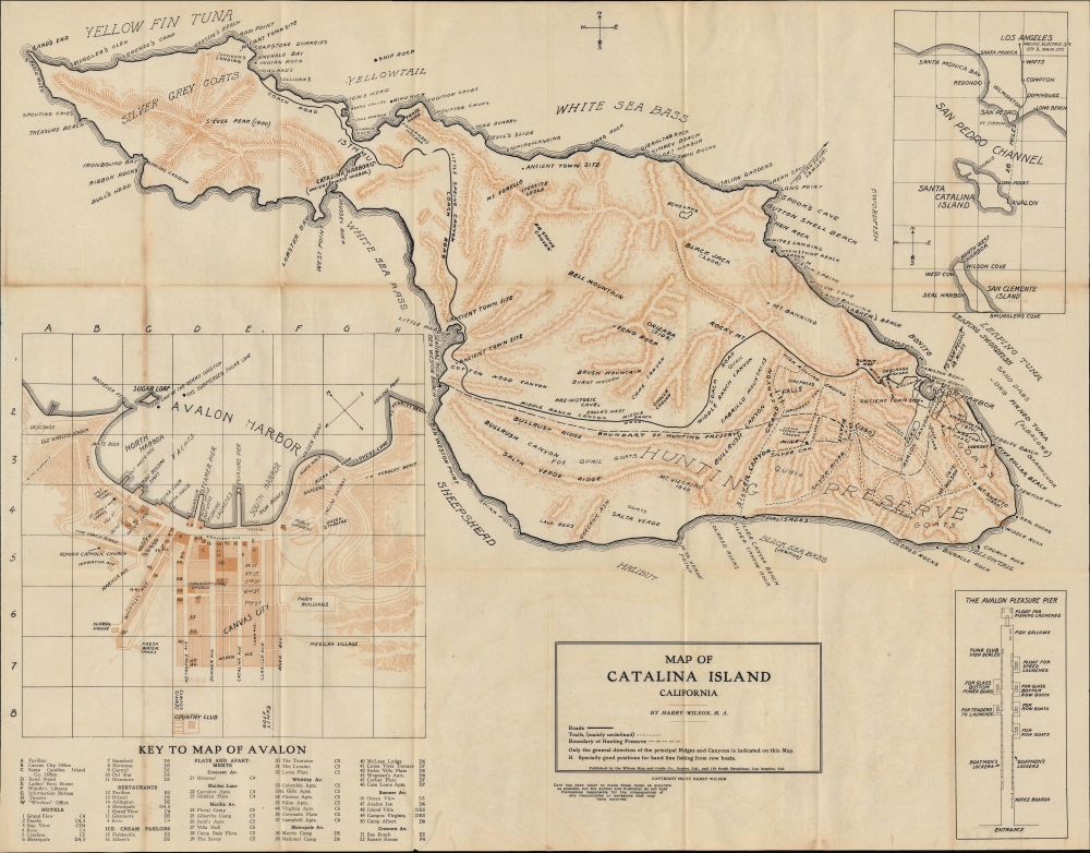 Map of Catalina Island California / Wilson's Map of Avalon and Catalina Island. - Main View