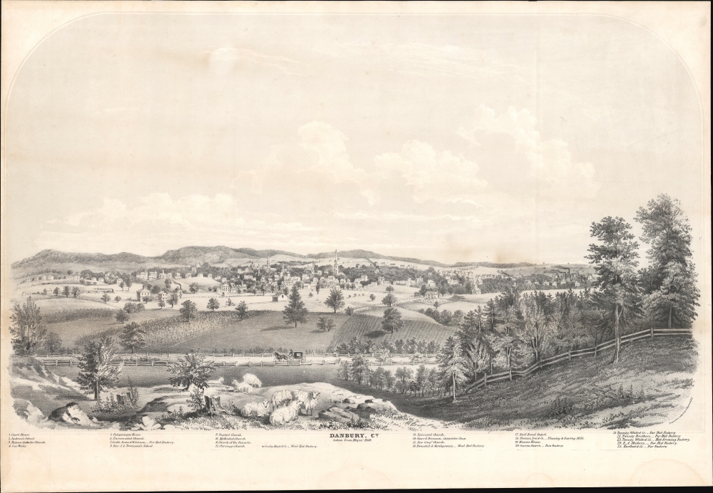 Danbury, Ct. taken from Hayes' Hill. - Main View