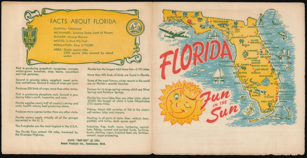 Florida Fun In The Sun. - Alternate View 2