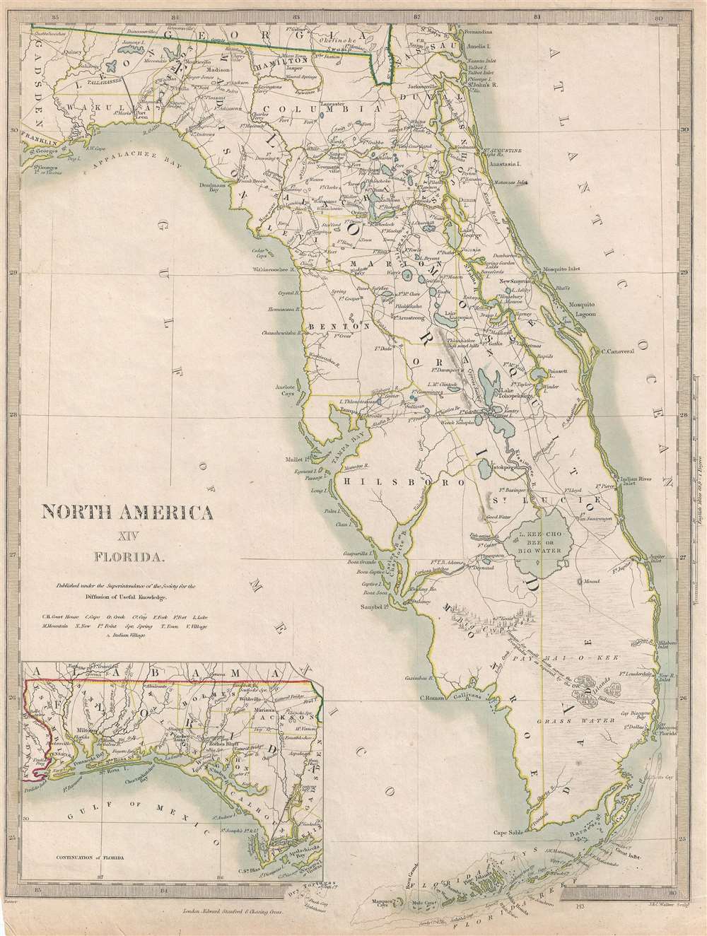 North America XIV Florida. - Main View