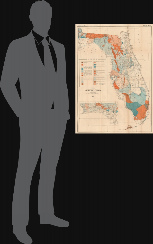 Geologic Map of Florida. - Alternate View 1