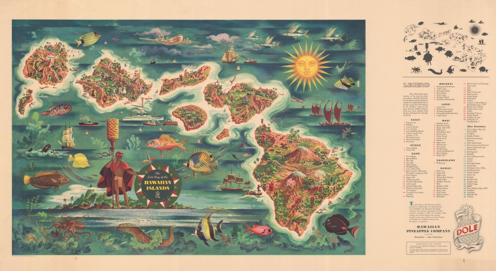 The Dole Map of the Hawaiian Islands. - Main View