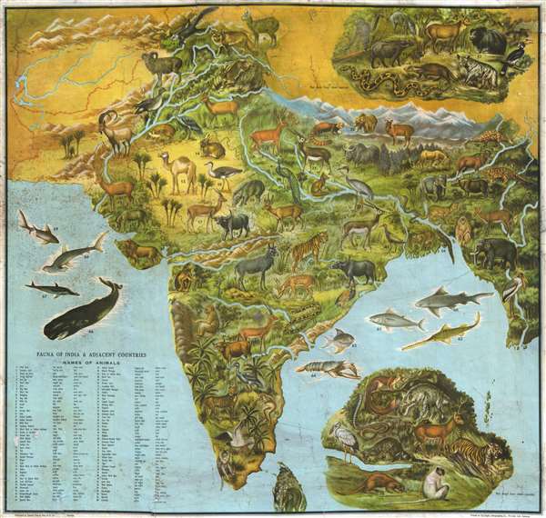 Fauna of India and Adjacent Countires. - Main View