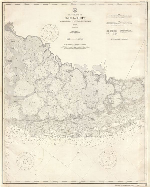 Coast Chart No. 167 Florida Reefs From the Elbow to Lower Matecumbe Key. - Main View