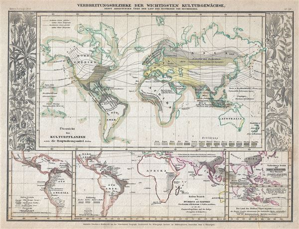 Verbreitung Bezirke der wichtigsten Kulturgewachse Nebst Andeutungen uber den lauf der Isotheren und Isochimenen. - Main View