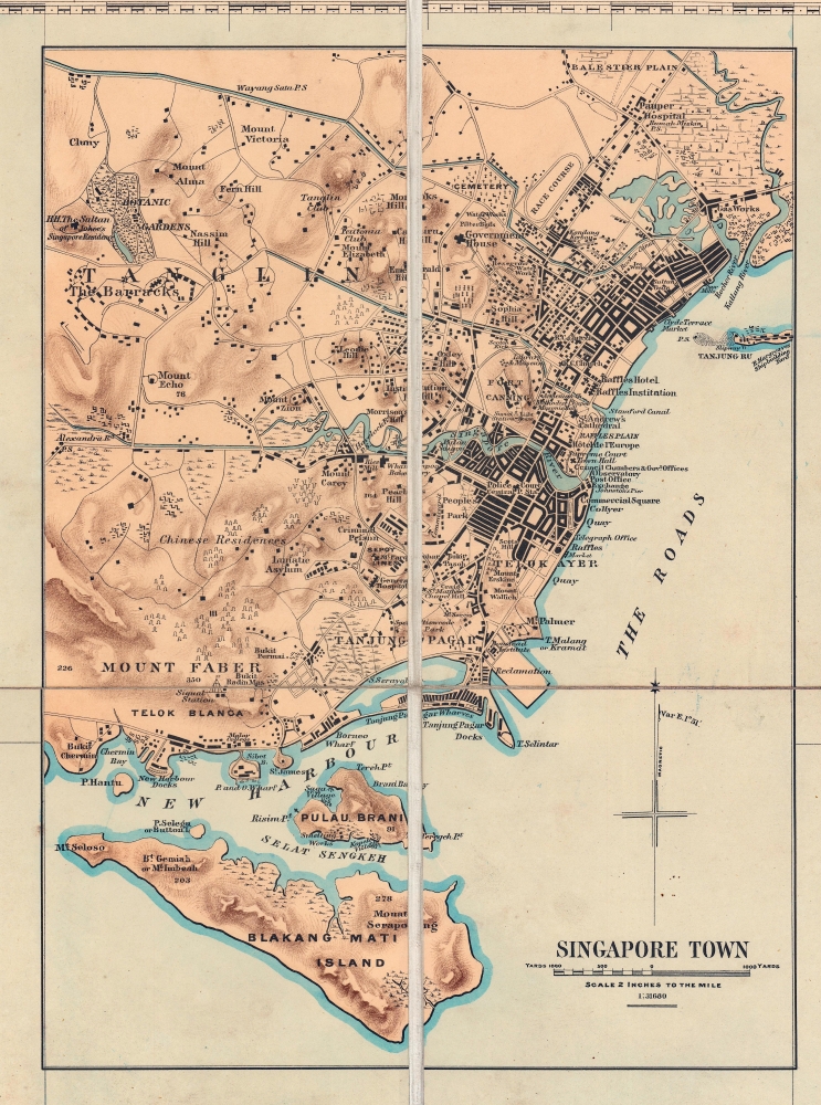 A Map of the Malay Peninsula Compiled by and Published for The Straits Branch of the Royal Asiatic Society Singapore. - Alternate View 6