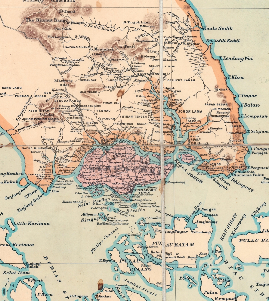 A Map of the Malay Peninsula Compiled by and Published for The Straits Branch of the Royal Asiatic Society Singapore. - Alternate View 7