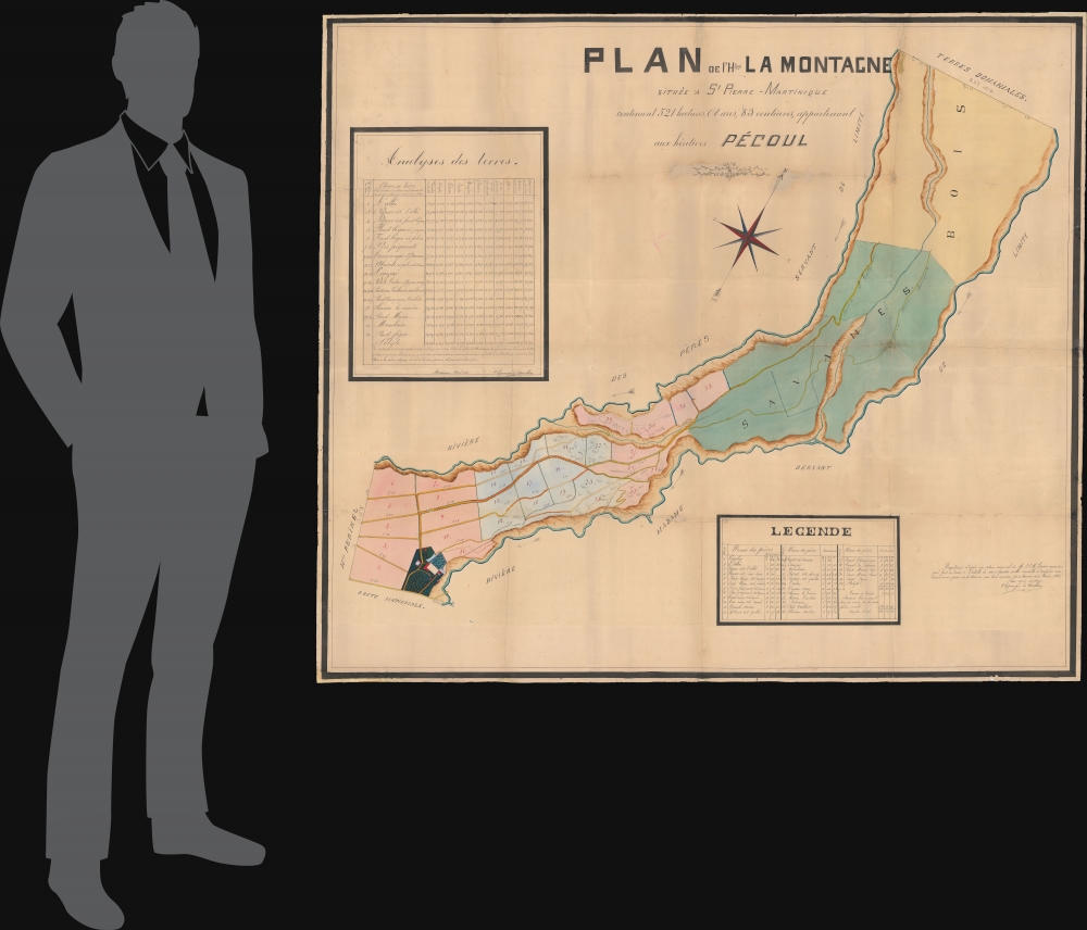 Plan de l'Htion La Montagne situèe a St. Pierre-Martinique contenant 521 hectares, 08 ares, 83 centiares, appartenant aux hèritiers Pécoul. - Alternate View 1