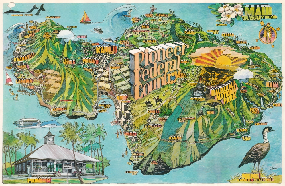 Maui The Valley Island. Pioneer Federal Country. - Main View