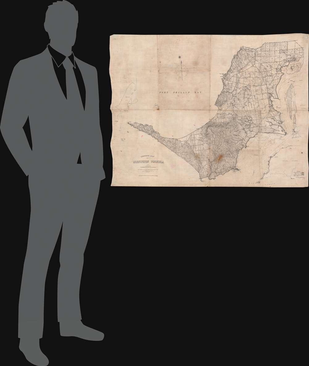 Contour Map of Mornington Peninsula. - Alternate View 1