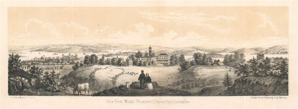 View from Mount Prospect [Central Park], Looking East. - Main View