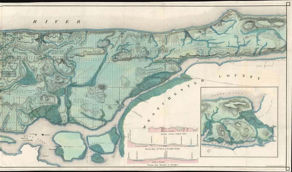 Sanitary and Topographical Map of the City and Island of New York Prepared for the Council of Hygiene and Public Health, of the Citizens Association. - Alternate View 2