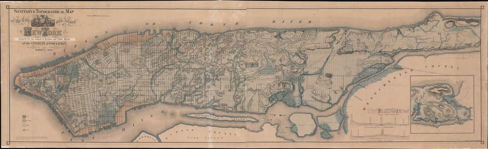 Sanitary and Topographical Map of the City and Island of New York. Prepared for the Council of Hygiene and Public Health of the Citizens Association. - Main View