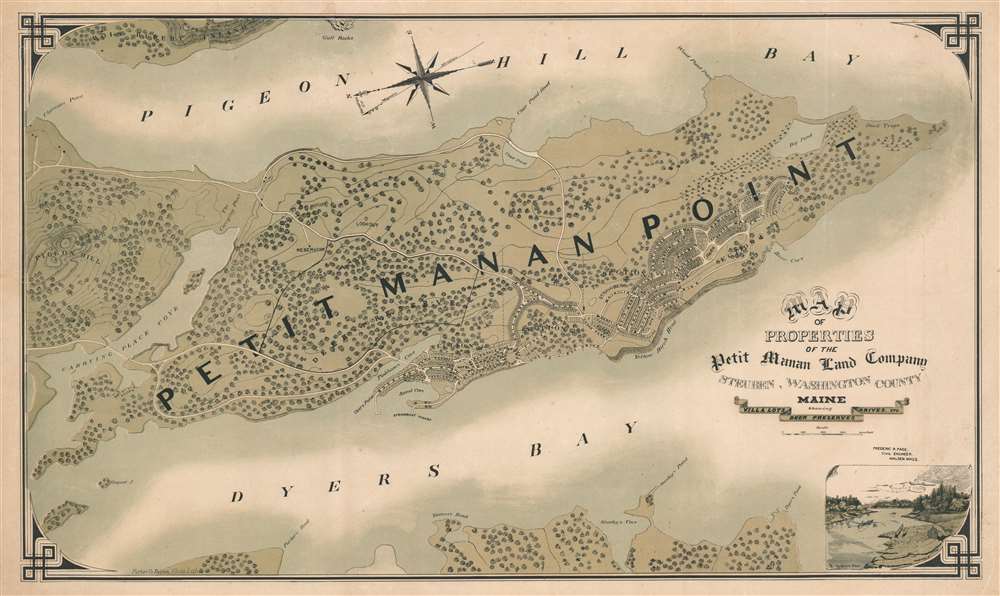 Map of Properties of the Petit Manan Land Company, Steuben, Washington County, Maine - Main View