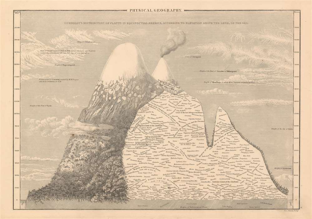 1844 Chart