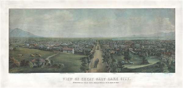 View of Great Salt Lake City. - Main View