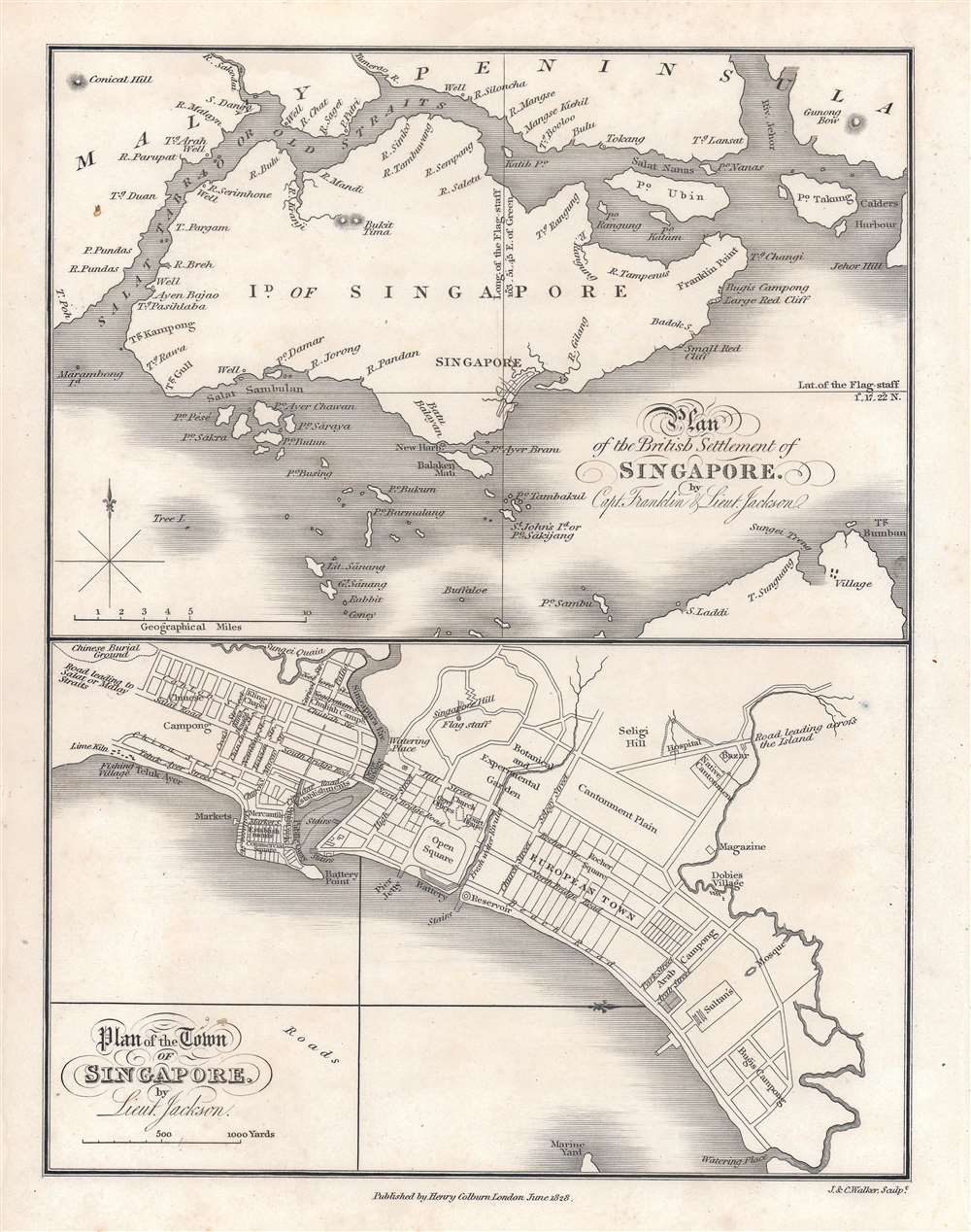 Plan of the Town of Singapore by Lieut. Jackson.  / Plan of the British Settlement of Singapore by Capt. Franklin and Lieut. Jackson. - Main View