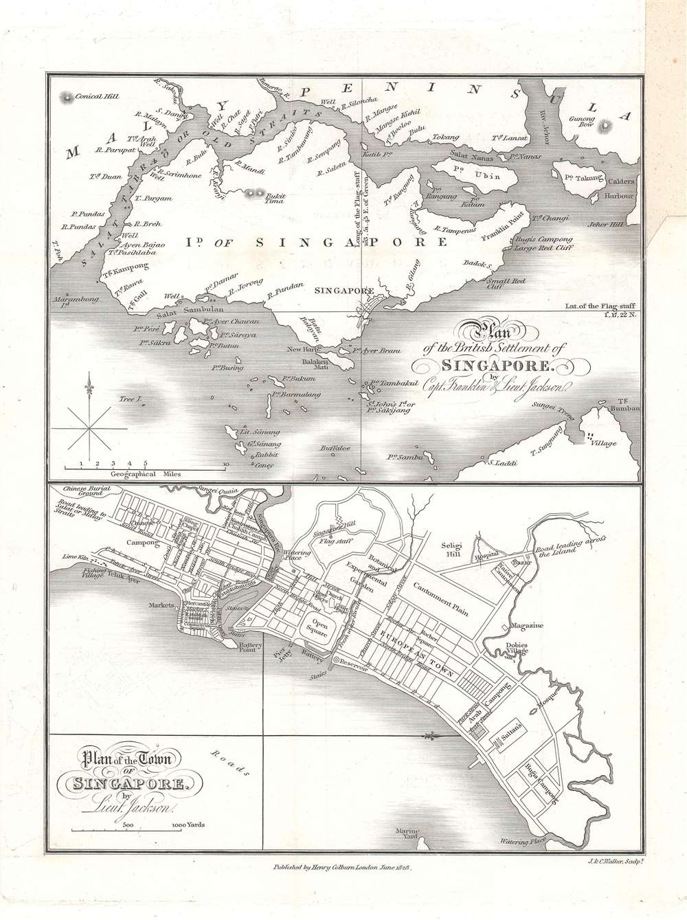 Plan of the Town of Singapore by Lieut. Jackson.  / Plan of the British Settlement of Singapore by Capt. Franklin and Lieut. Jackson. - Main View