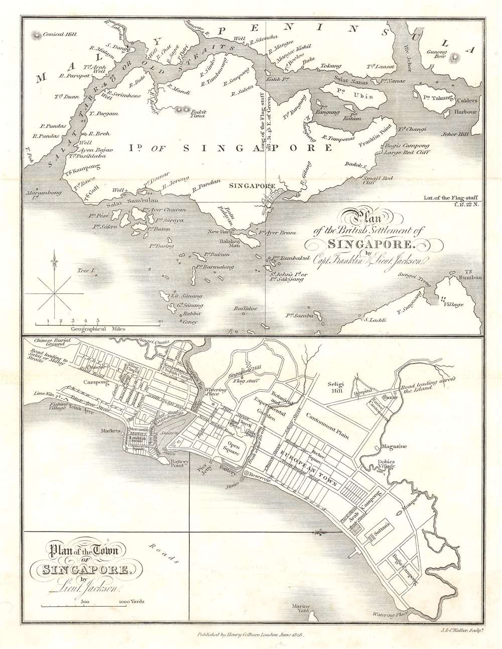 Plan of the Town of Singapore by Lieut. Jackson.  / Plan of the British Settlement of Singapore by Capt. Franklin and Lieut. Jackson. - Main View