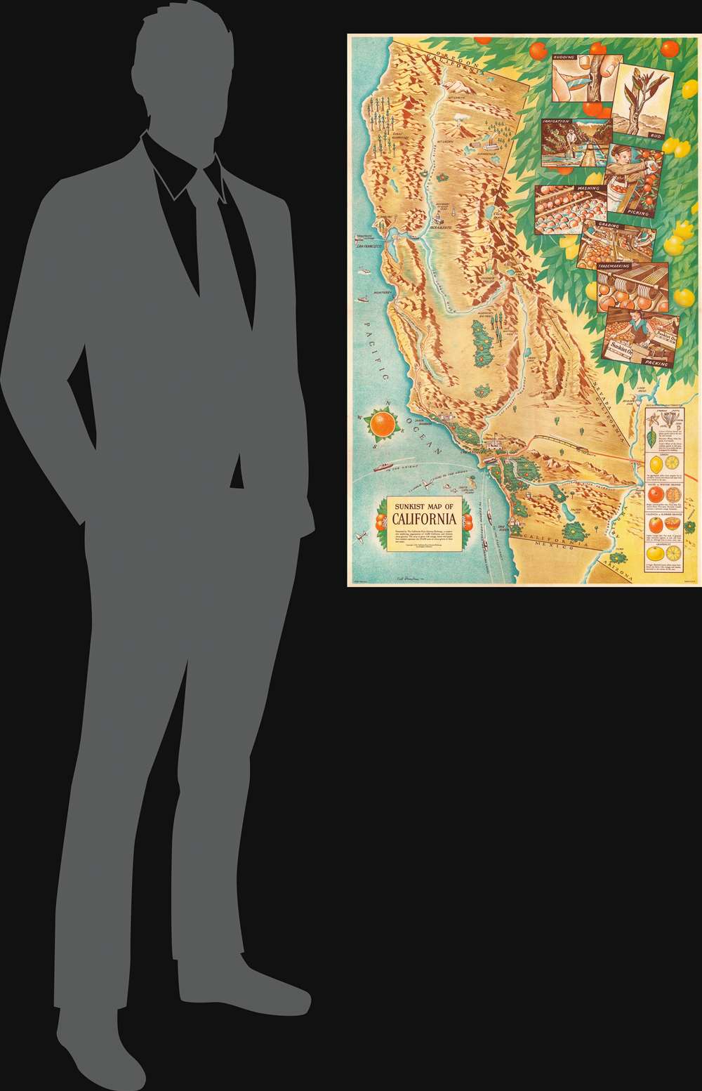 Sunkist Map of California. - Alternate View 1