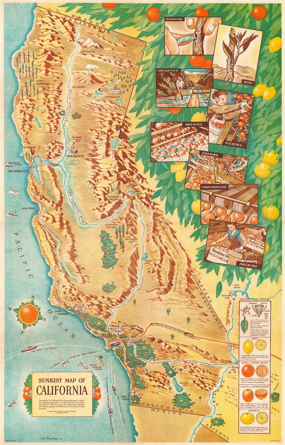 Sunkist Map of California. - Main View