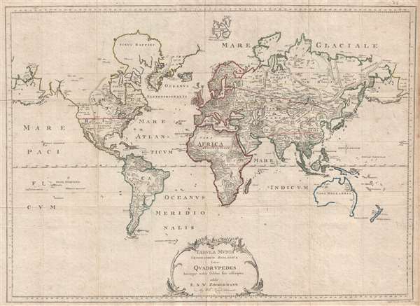 Tabula Mundi Geographico Zoologica sistens Quadrupedes hucusque notos sedibus suis adscriptos editit E. A. W. Zimmerman - Main View