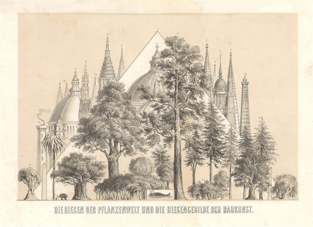 Die Riesen der Pflanzenwelt und die Riesengebilde der Baukunst. / (The Giants of the Plant World and the Giant Structures of Architecture.) - Main View