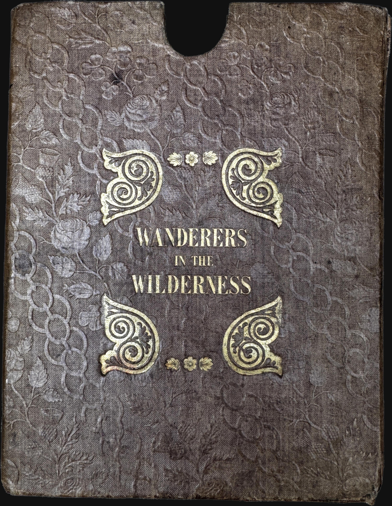 Wallis's New Game of Wanderers in the Wilderness. - Alternate View 1