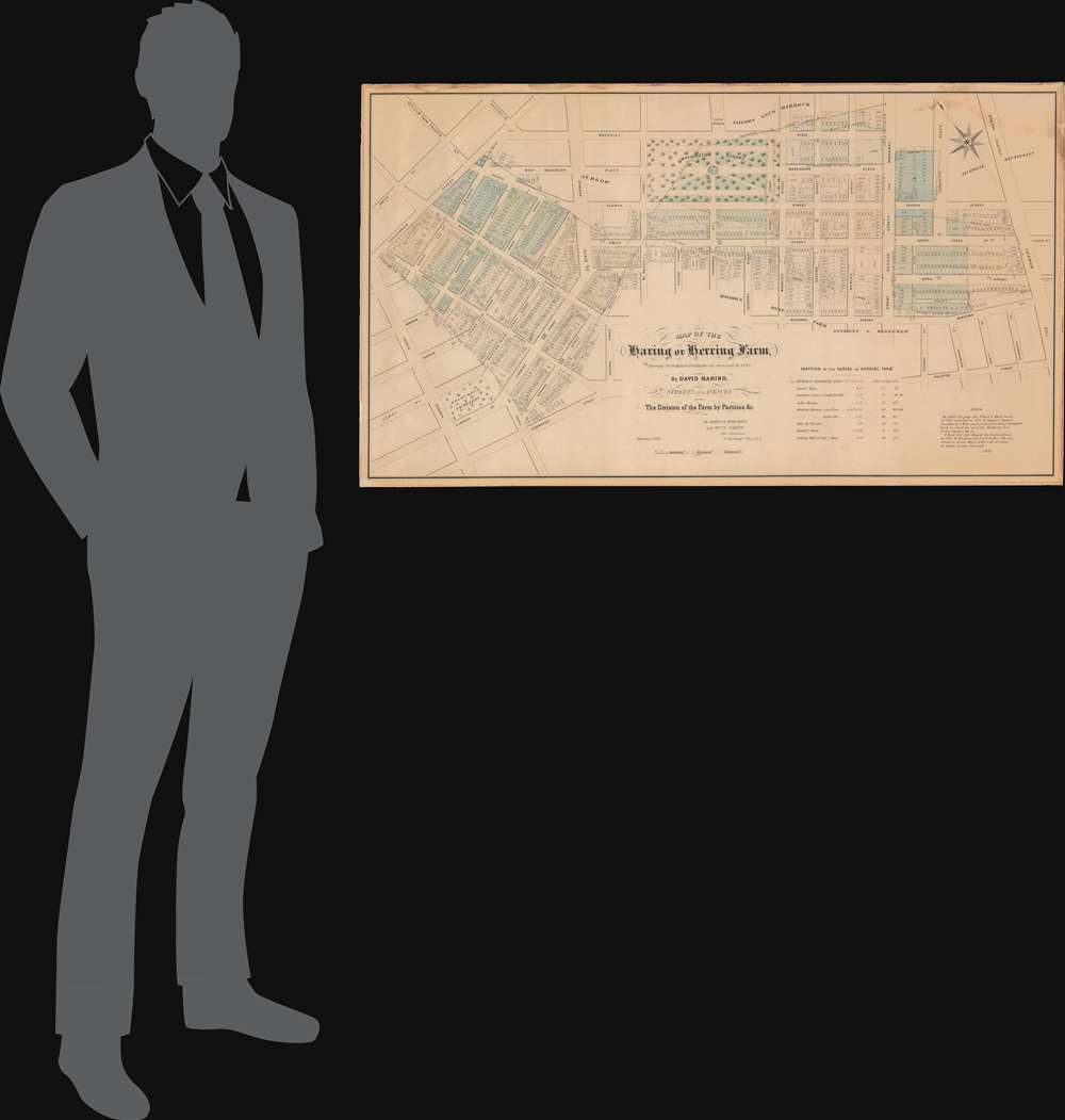 Map of the Haring or Herring Farm, showing its Original Perimeter as surveyed in 1784 by David Haring with the Streets and Avenues accurately laid down, also the Division of the Farm by Partition and c. - Alternate View 1