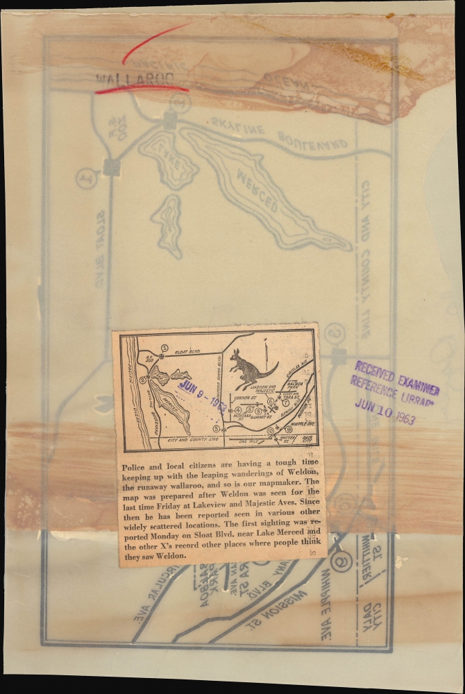 [Weldon, the Runaway Wallaroo]. - Alternate View 1