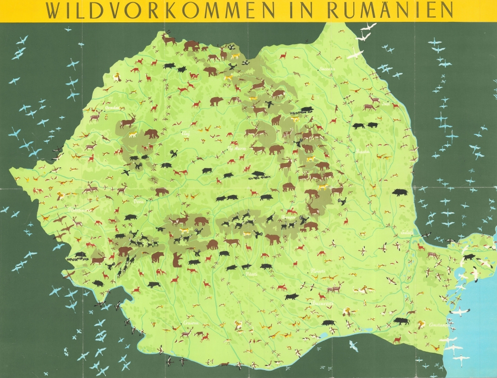Wildvorkommen in Rumänien. Jagd in Rumänien. - Main View