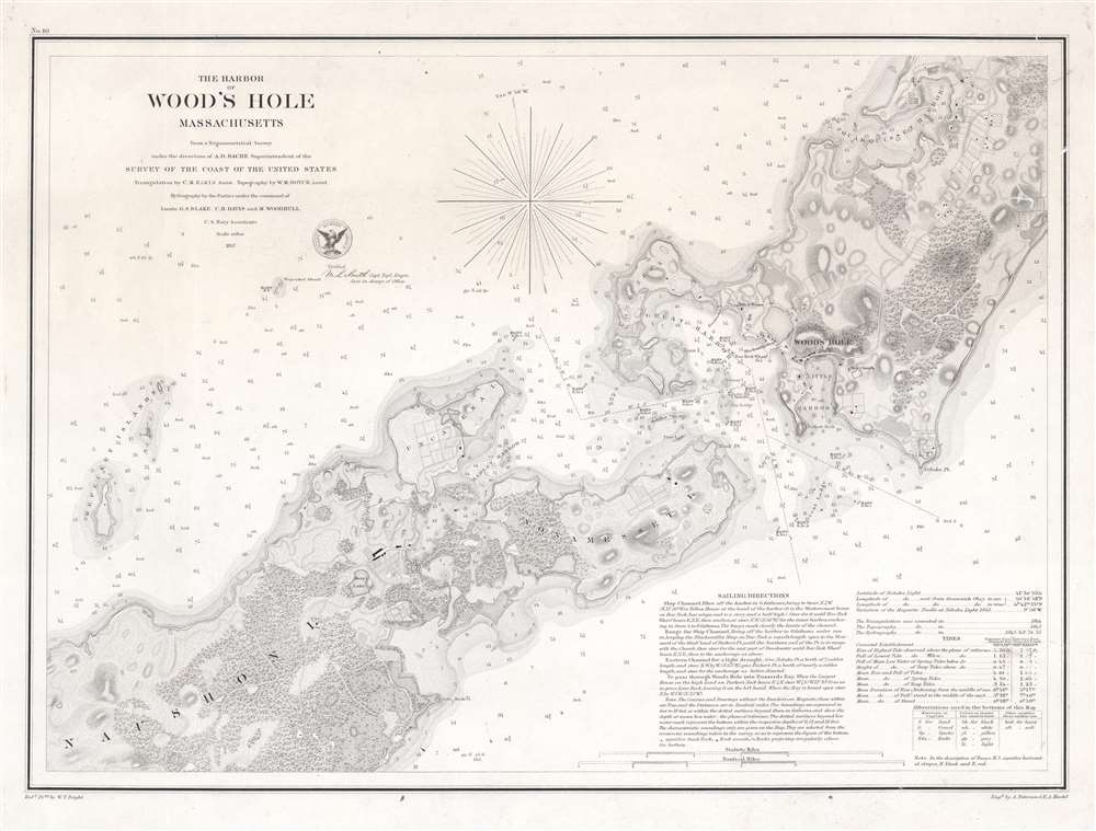 The Harbor of Wood's Hole Massachusetts. - Main View