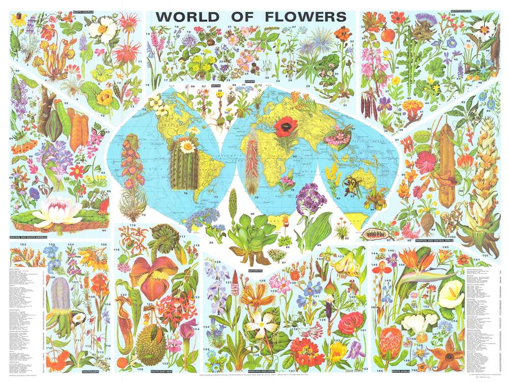 World of Flowers. - Main View