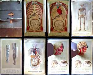 1886 Yaggy Anatomical Study of Human Anatomy