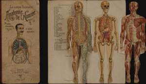 1900 Vigot Anatomical Model of Man