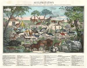 1854 Perrot and Oudart Chart or Map of Animals, Birds, Fish, and Trees