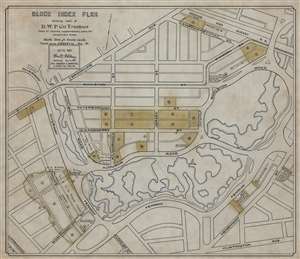 1901 Whitney Manuscript Map of the Back Bay Fens and Fenway - Kenmore, Boston, Mass.
