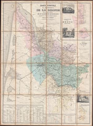 1874 Dubergier Wine Map of the Gironde (Bordeaux, Medoc) showing Vineyards